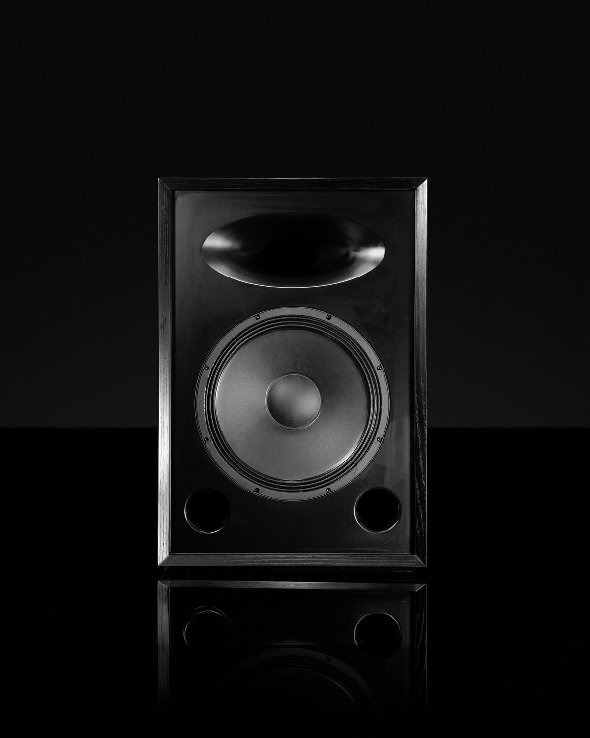 Sasquatch 2way Speaker - 18" Woofer