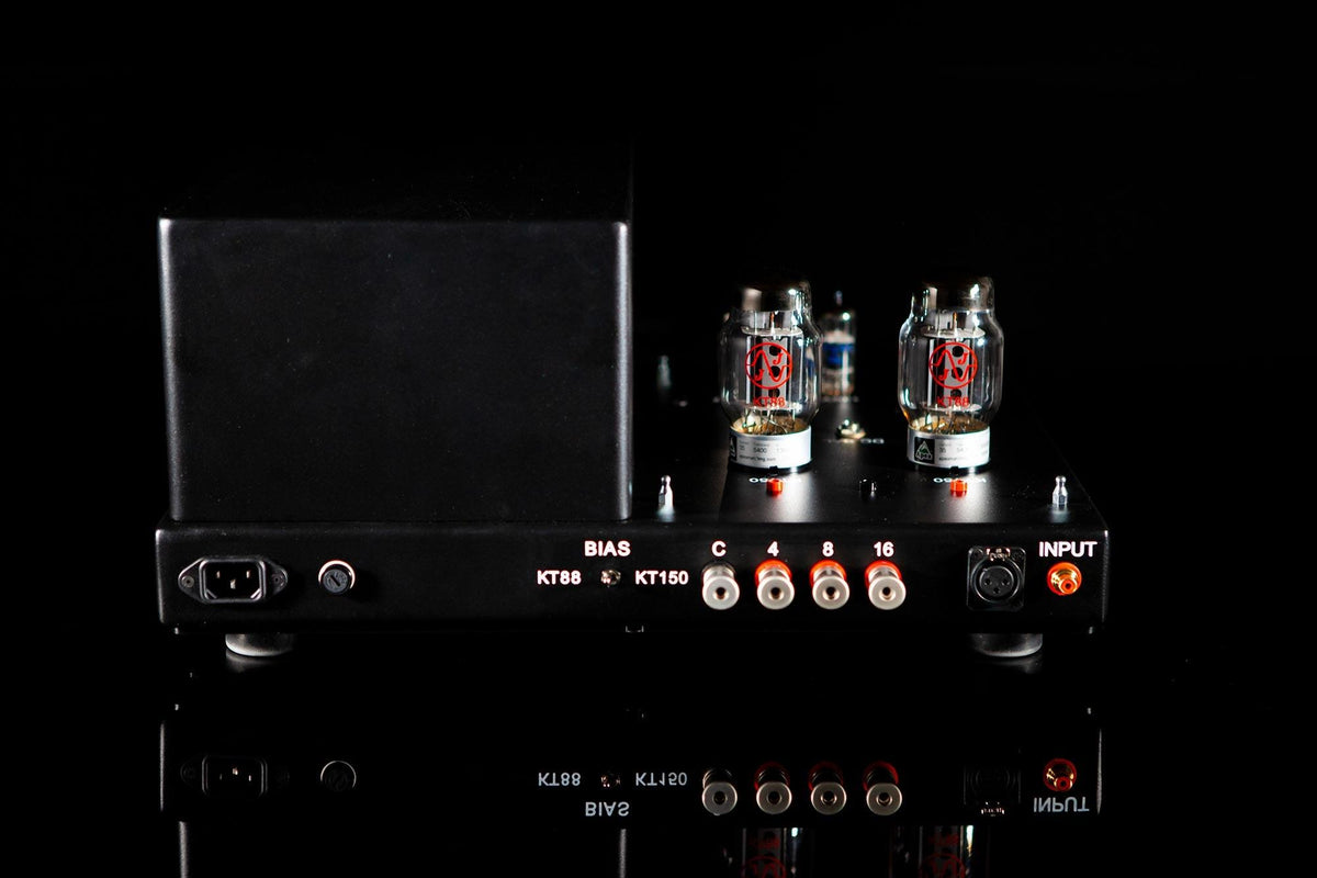 Arch Monos - ampsandsound