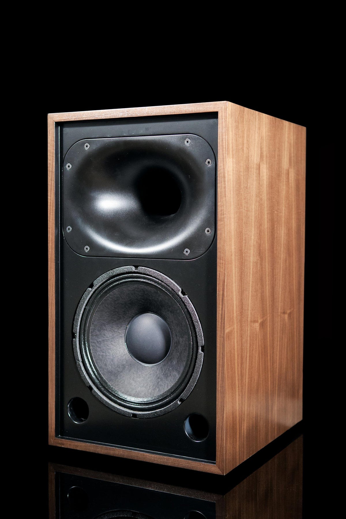 Klamath 2way Speaker - 12" Woofer - ampsandsound