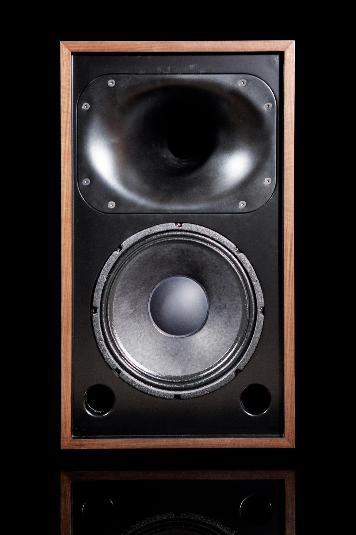 Klamath 2way Speaker - 12" Woofer - ampsandsound