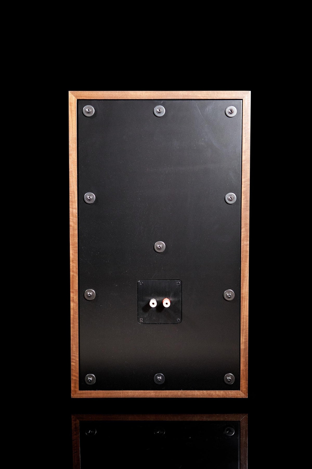 Klamath 2way Speaker - 12" Woofer - ampsandsound