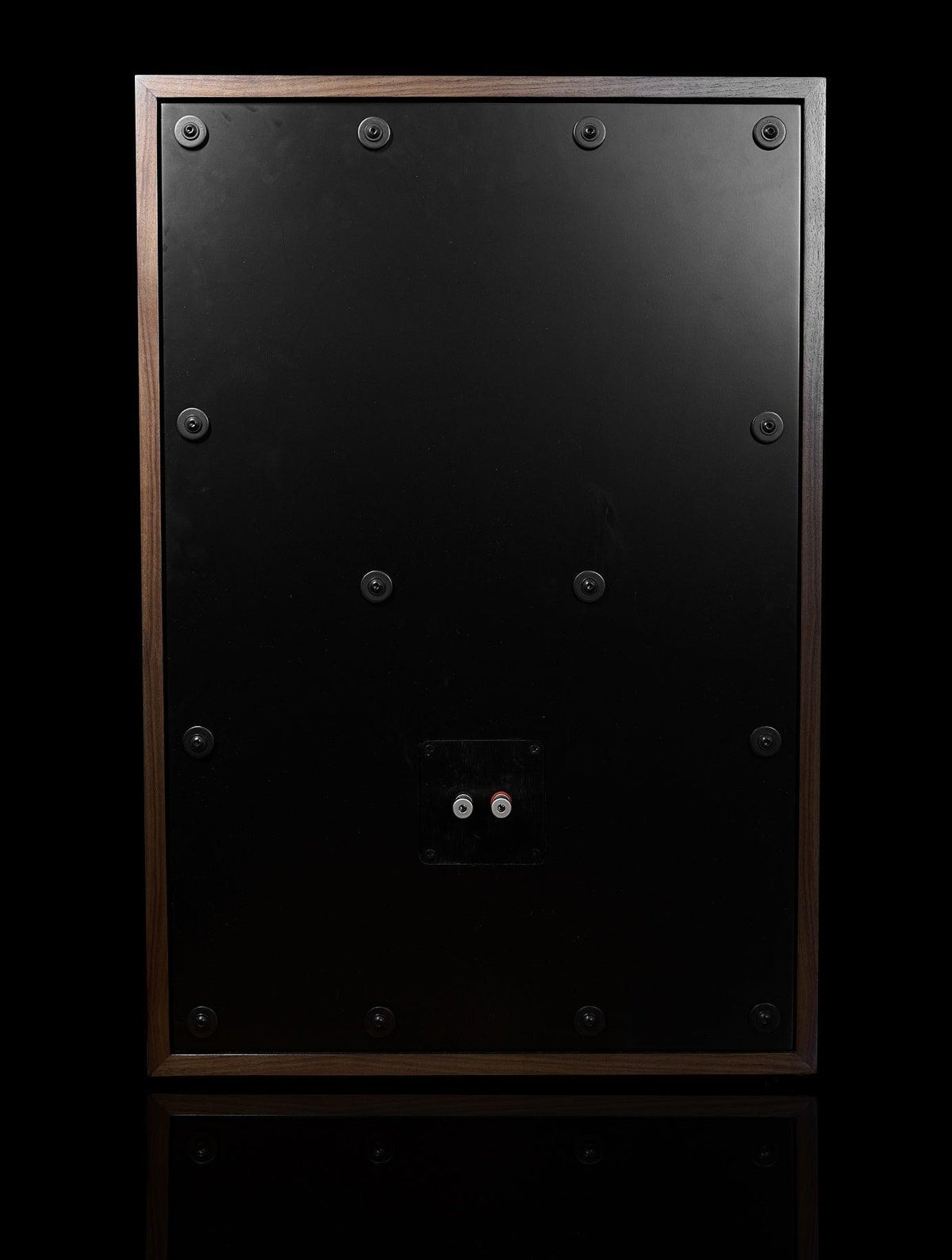 Seneca 2way Speaker - 15" woofer - ampsandsound