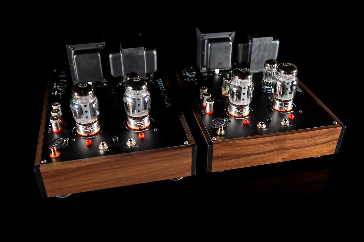 Casablanca Monos - ampsandsound